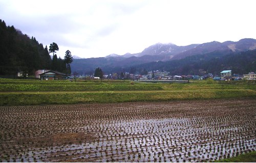 田園その1