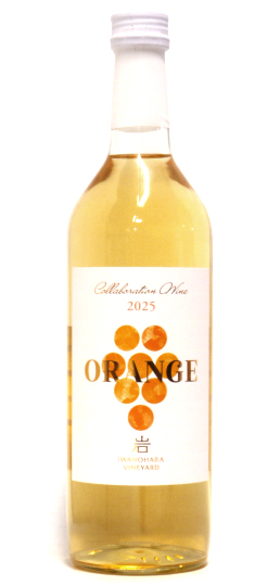 ��̌����C���@2025�@�I�����W���C��